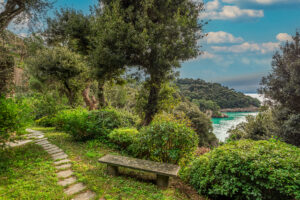 Cala6-24